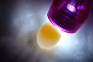 Identifica con una linterna la ovoscopia de los huevos